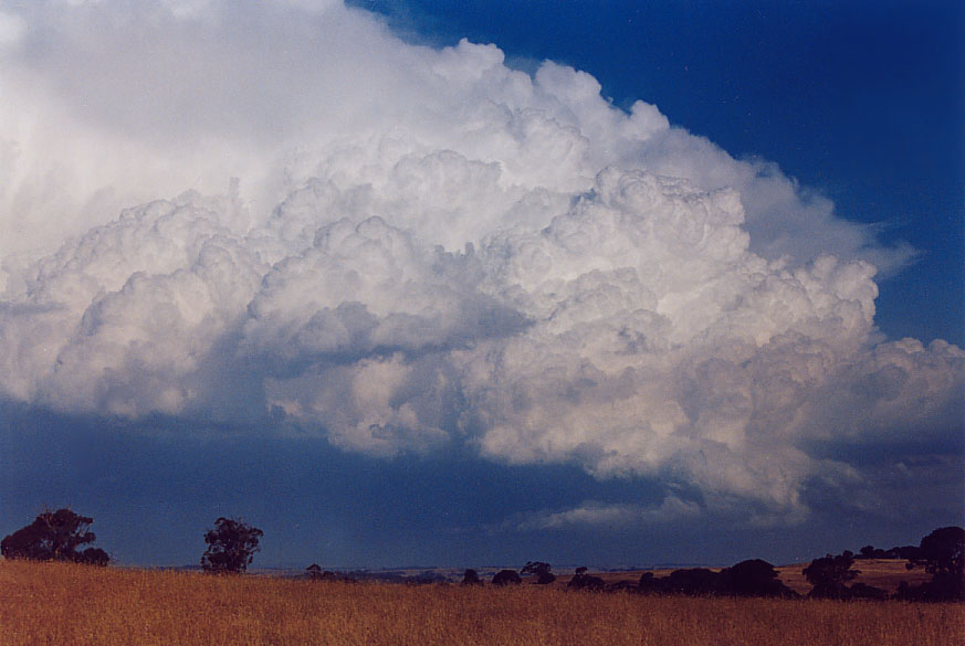 favourites jimmy_deguara : Crookwell, NSW   22 January 2005