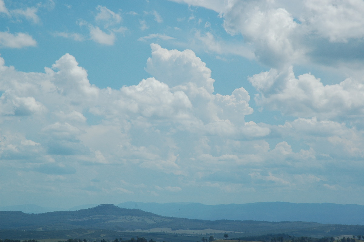 cumulus congestus : Mallanganee NSW   22 January 2005