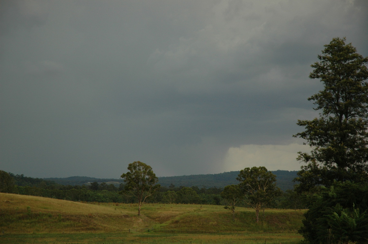 raincascade precipitation_cascade : Tabulam, NSW   22 January 2005