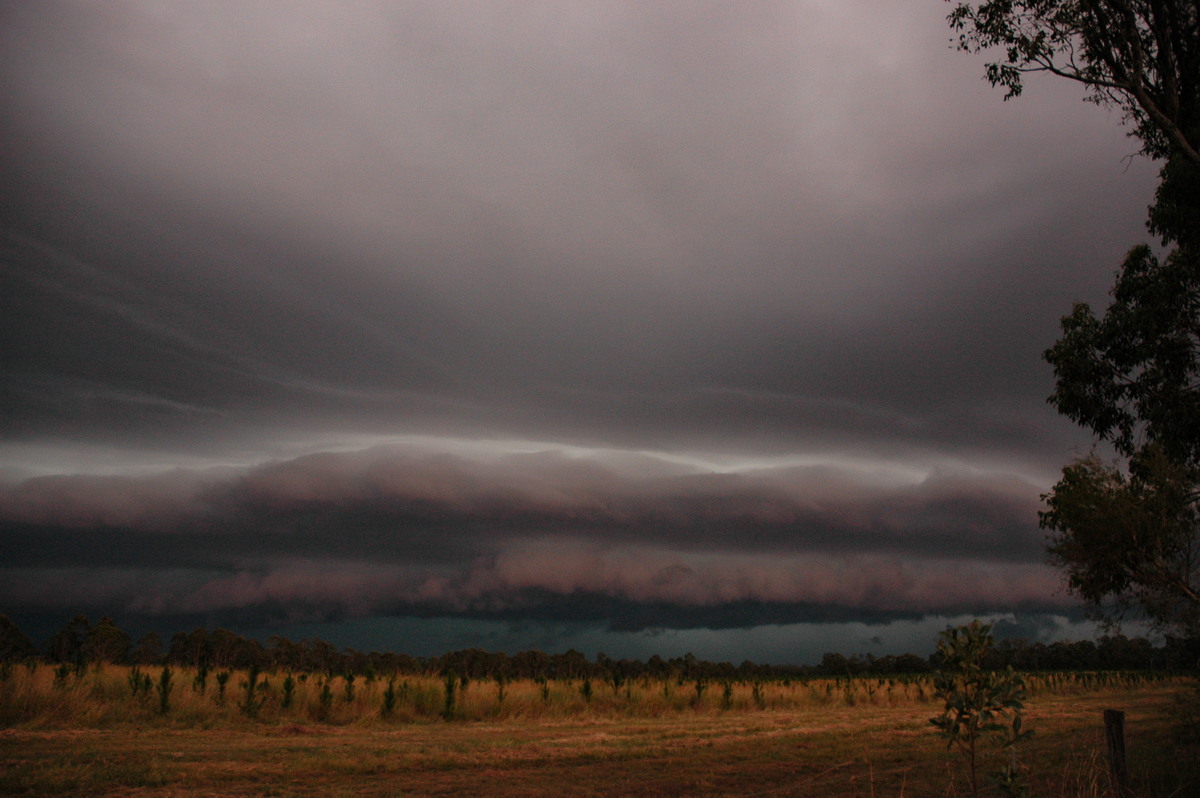 shelfcloud shelf_cloud : Rappville, NSW   22 January 2005