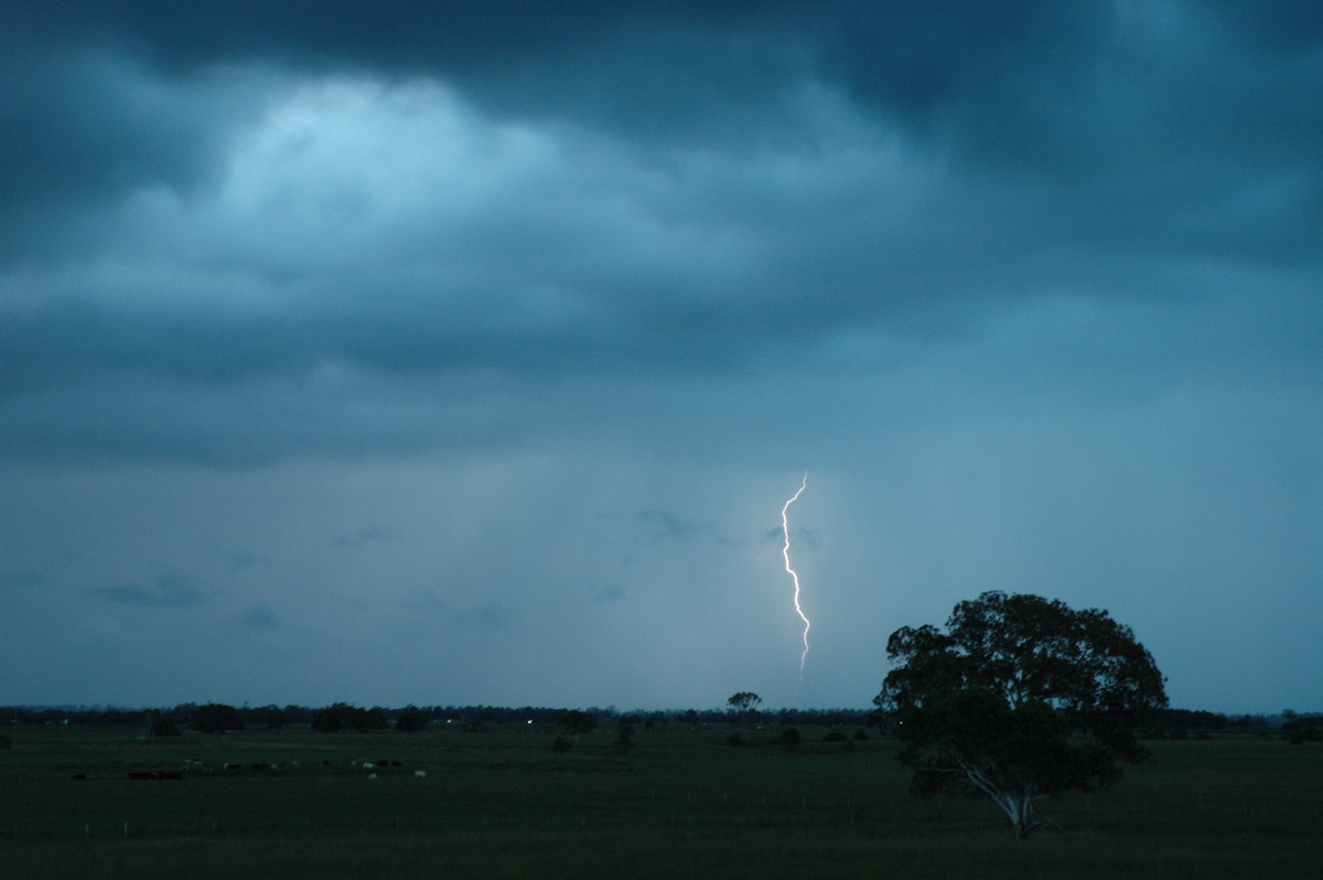 lightning lightning_bolts : McKees Hill, NSW   22 January 2005