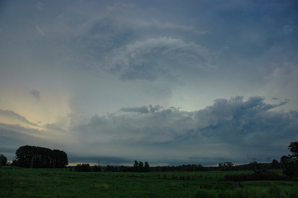 cumulonimbus thunderstorm_base : Whiporie, NSW   2 February 2005