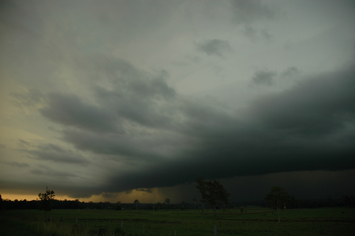 cumulonimbus thunderstorm_base : Whiporie, NSW   2 February 2005