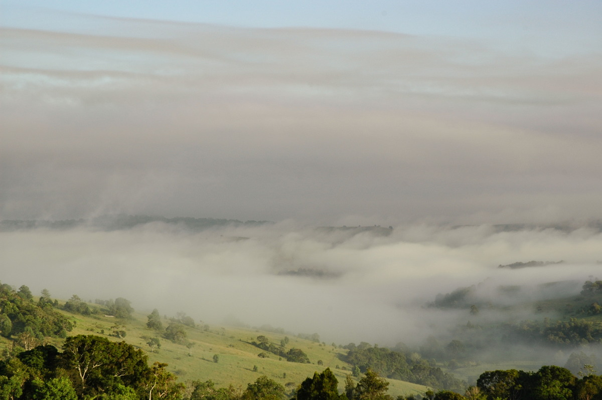 fogmist fog_mist_frost : McLeans Ridges, NSW   7 February 2005