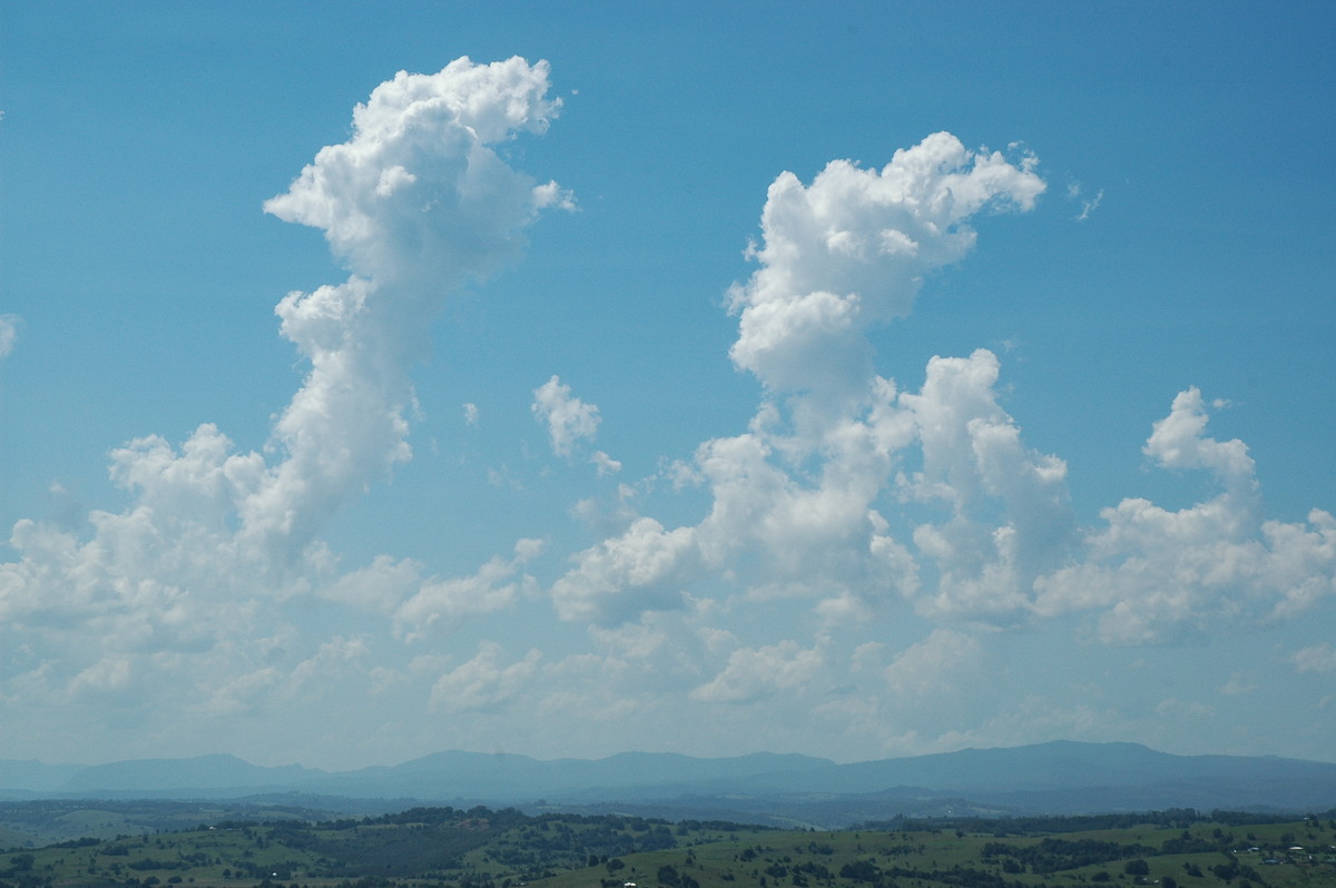 cumulus mediocris : McLeans Ridges, NSW   8 February 2005