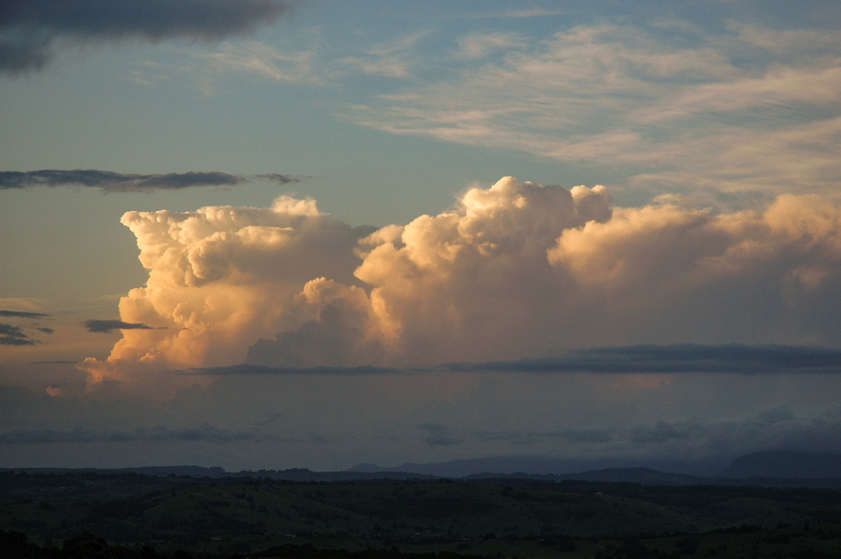 favourites michael_bath : McLeans Ridges, NSW   17 February 2005