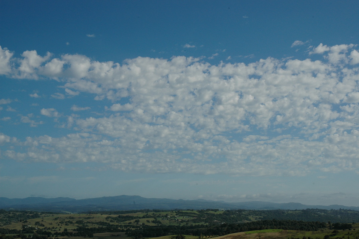 altocumulus castellanus : McLeans Ridges, NSW   22 February 2005