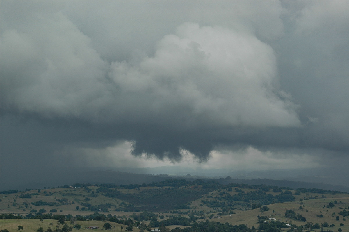 cumulonimbus thunderstorm_base : McLeans Ridges, NSW   28 February 2005