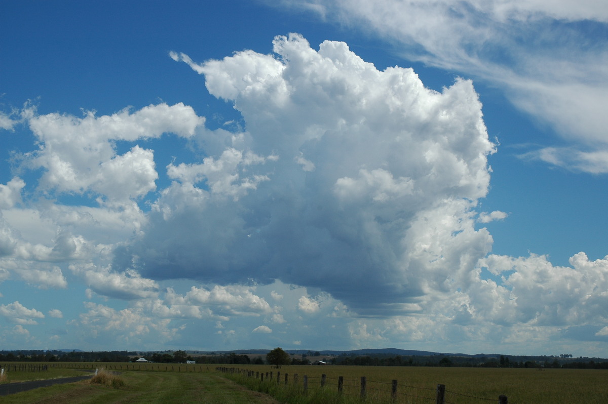 cumulus congestus : Casino, NSW   10 March 2005