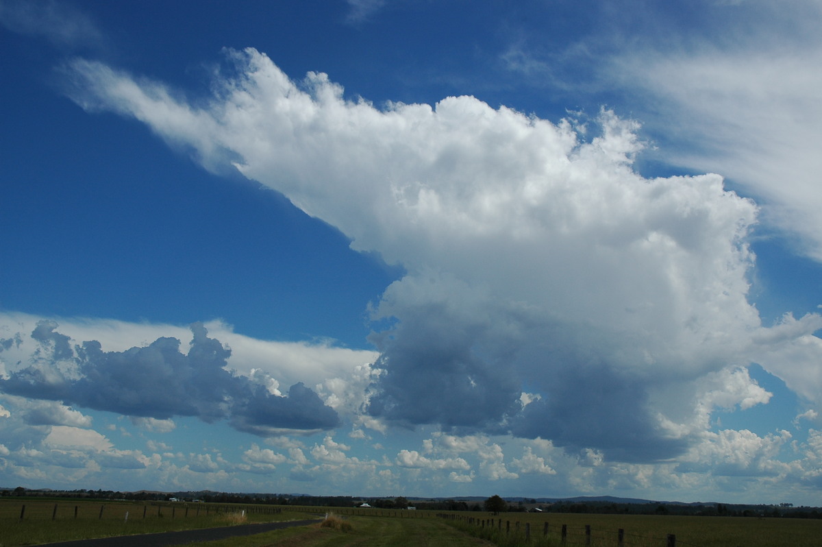 cumulus congestus : Casino, NSW   10 March 2005