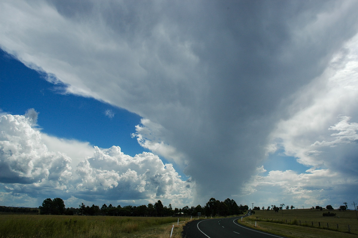 raincascade precipitation_cascade : Casino, NSW   10 March 2005