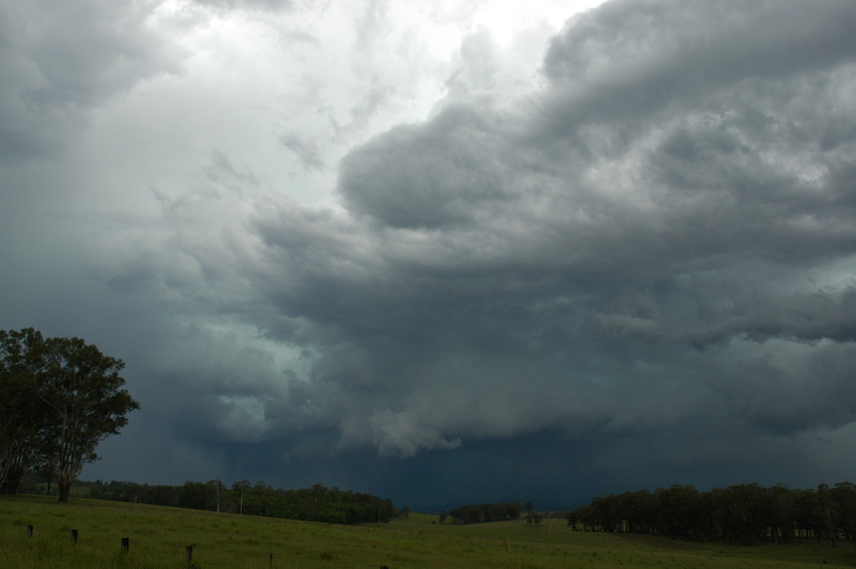cumulonimbus thunderstorm_base : near Tabulam, NSW   10 March 2005