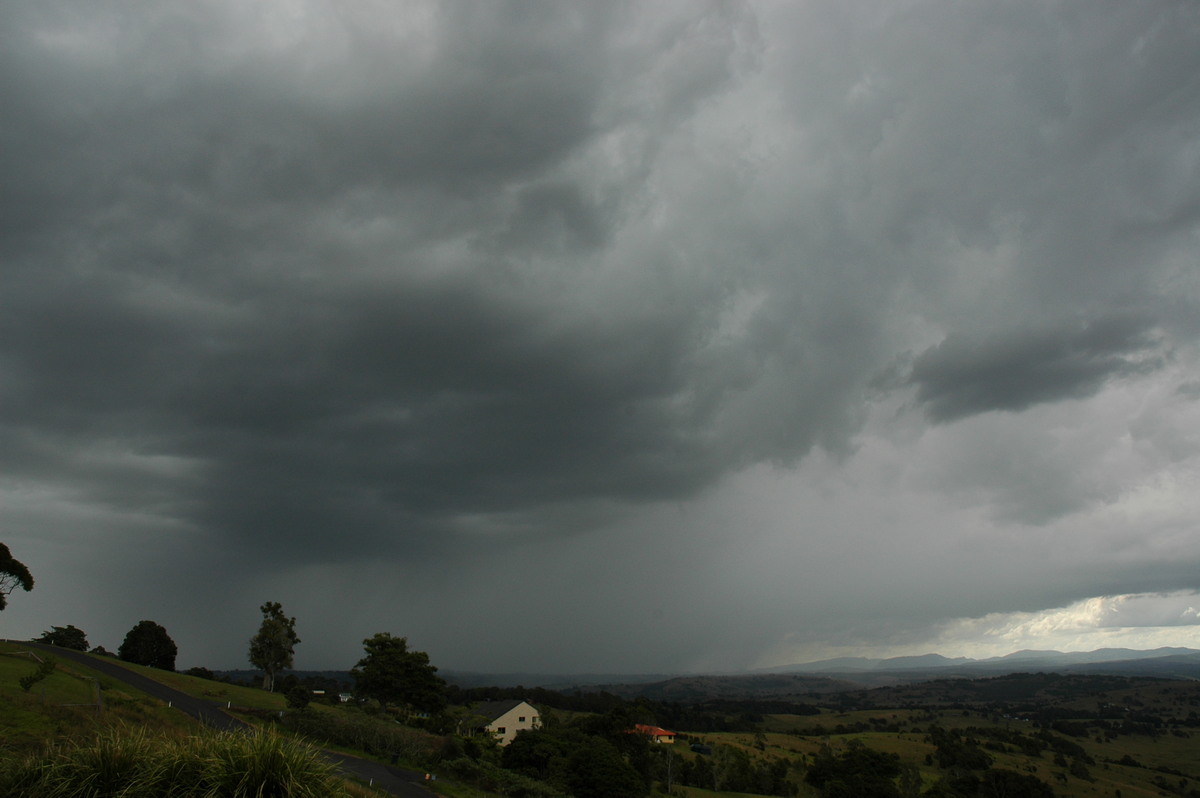 cumulonimbus thunderstorm_base : McLeans Ridges, NSW   22 March 2005