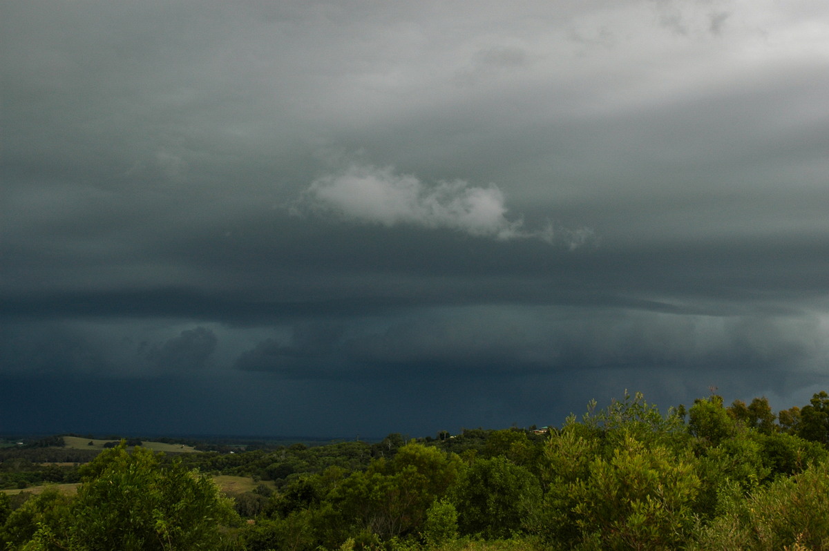 cumulonimbus thunderstorm_base : near Coraki, NSW   26 March 2005
