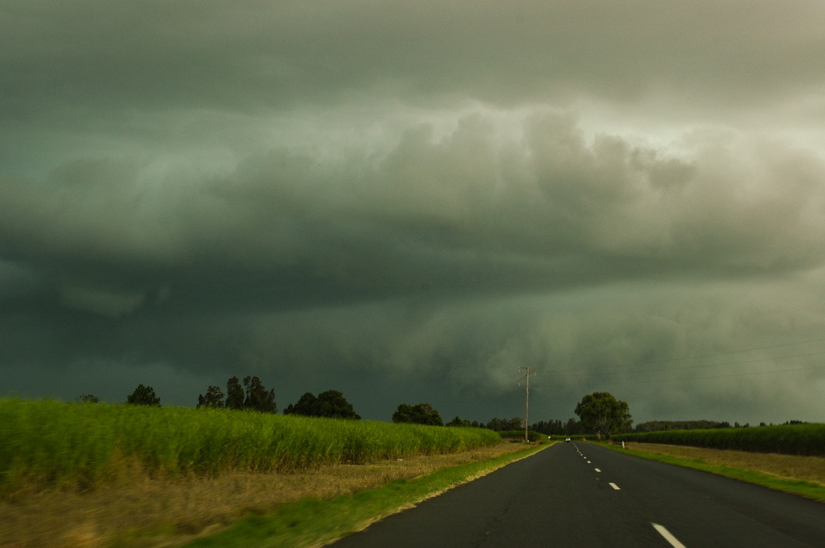 cumulonimbus thunderstorm_base : near Coraki, NSW   26 March 2005