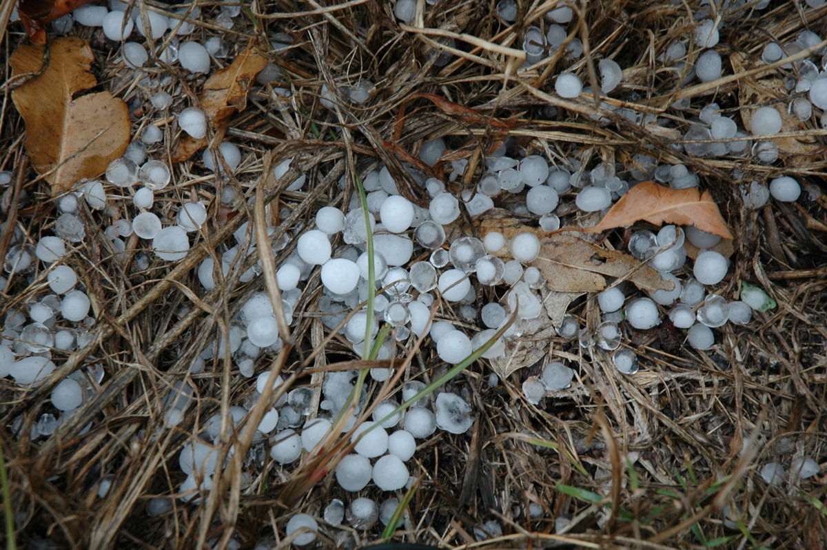 hailstones hail_stones : Broadwater, NSW   26 March 2005