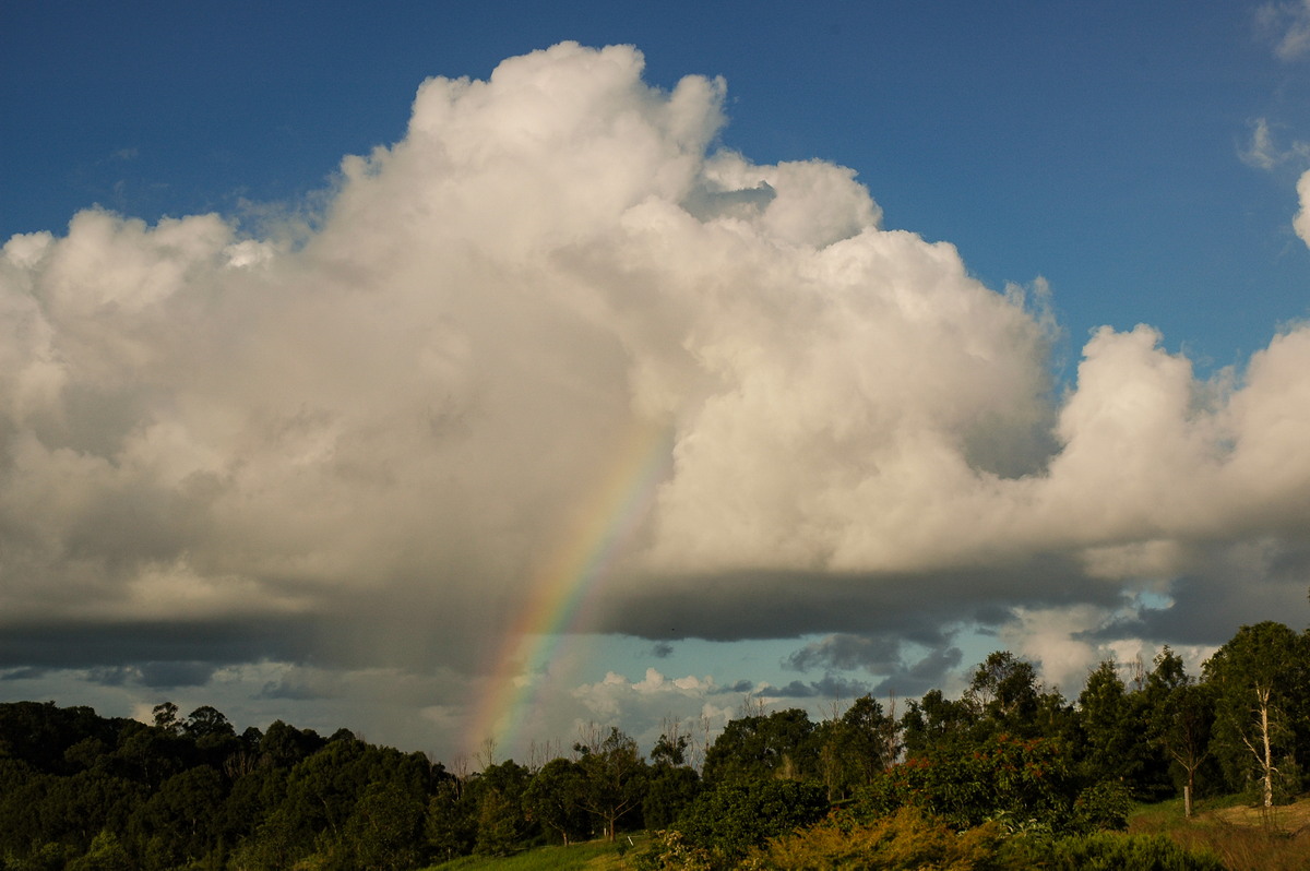 cumulus congestus : McLeans Ridges, NSW   27 April 2005