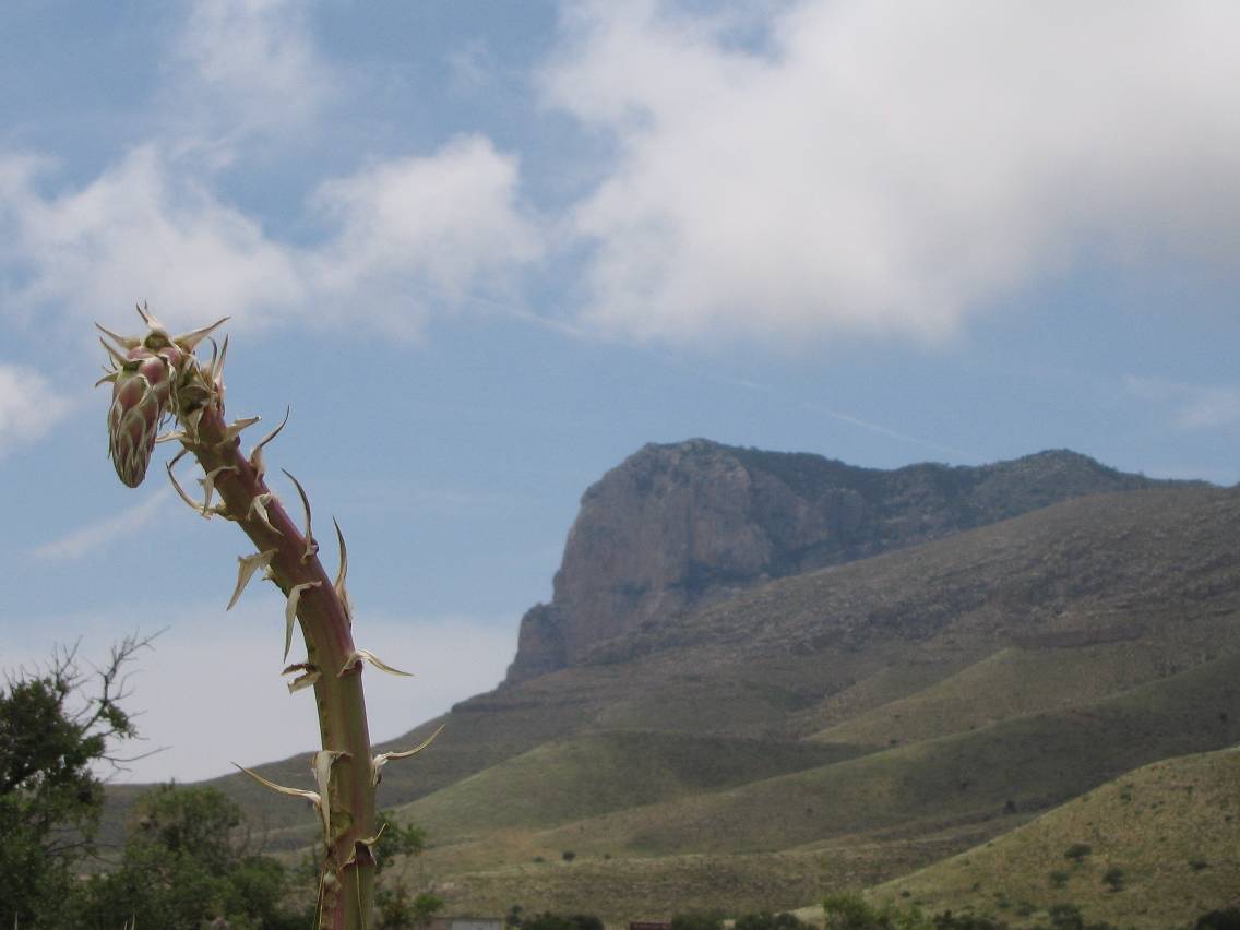 favourites jimmy_deguara : Guadalupe Nountains National Park, Texas, USA   15 May 2005