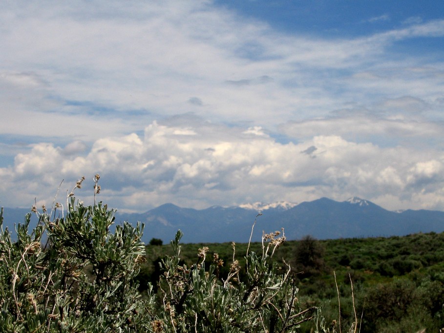 cumulus mediocris : S of Taos, New Mexico, USA   27 May 2005
