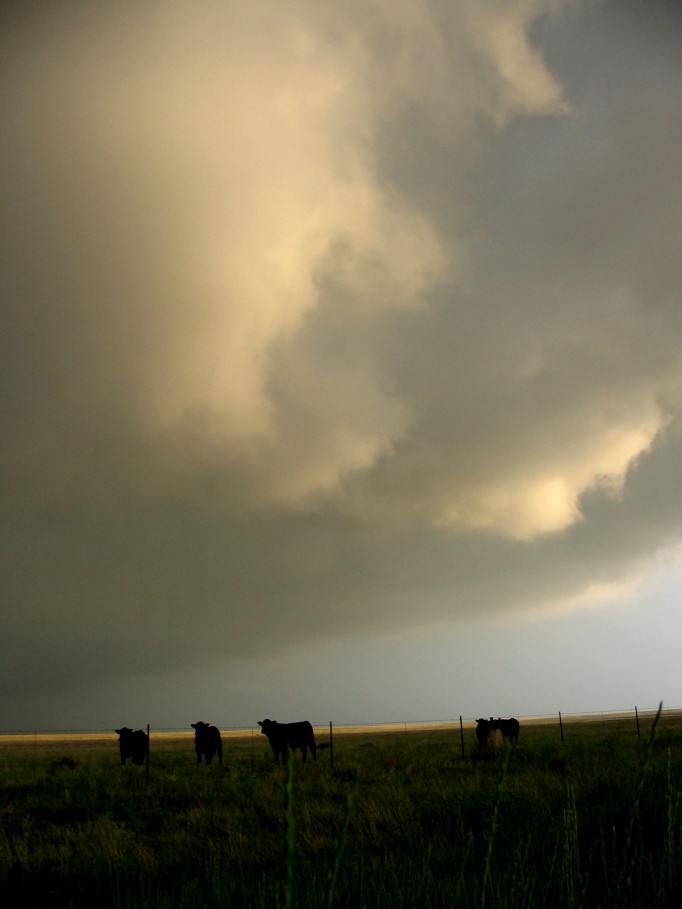 cumulonimbus thunderstorm_base : near Clayton, New Mexico, USA   27 May 2005