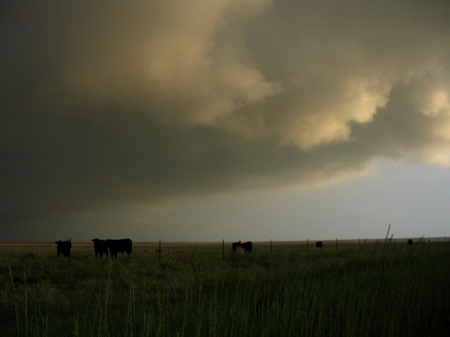 cumulonimbus thunderstorm_base : near Clayton, New Mexico, USA   27 May 2005