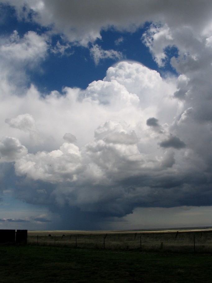 thunderstorm cumulonimbus_incus : near Mount Dore, New Mexico, USA   29 May 2005
