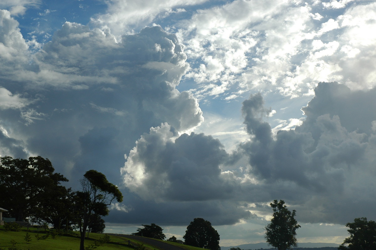 cumulus congestus : McLeans Ridges, NSW   7 June 2005