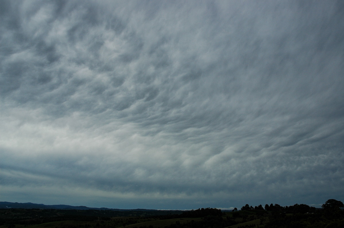 mammatus mammatus_cloud : McLeans Ridges, NSW   15 June 2005