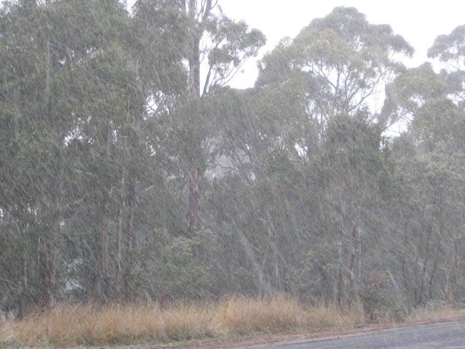 precipitation precipitation_rain : near Oberon, NSW   22 June 2005