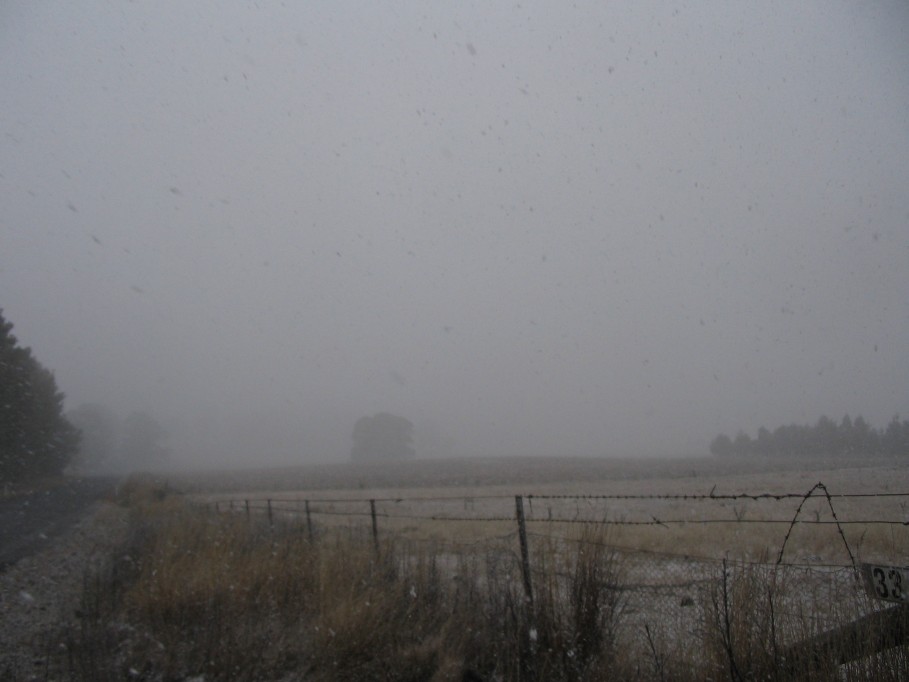 precipitation precipitation_rain : near Oberon, NSW   22 June 2005