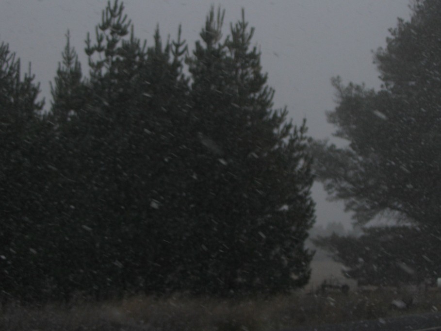 precipitation precipitation_rain : near Oberon, NSW   22 June 2005