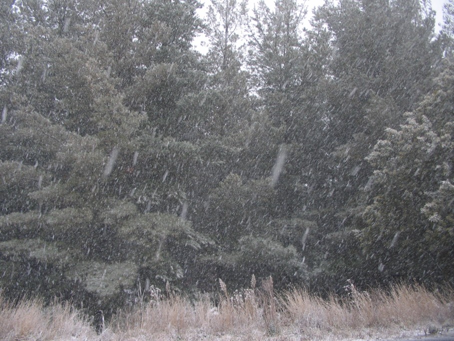 precipitation precipitation_rain : near Oberon, NSW   22 June 2005