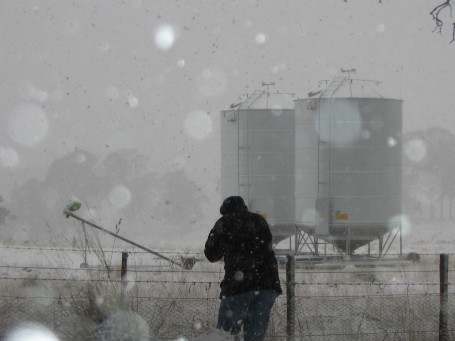 snow snow_pictures : near Oberon, NSW   23 June 2005