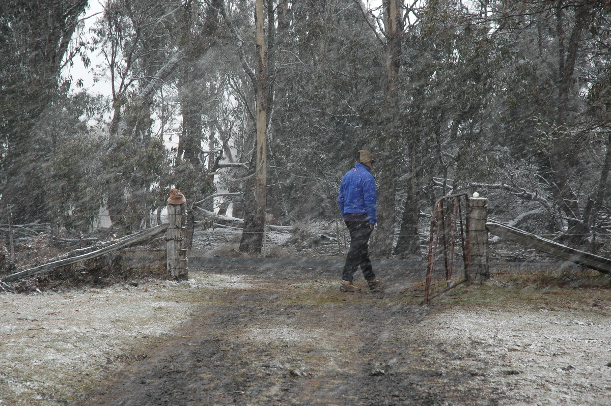 favourites michael_bath : Ben Lomond, NSW   23 June 2005