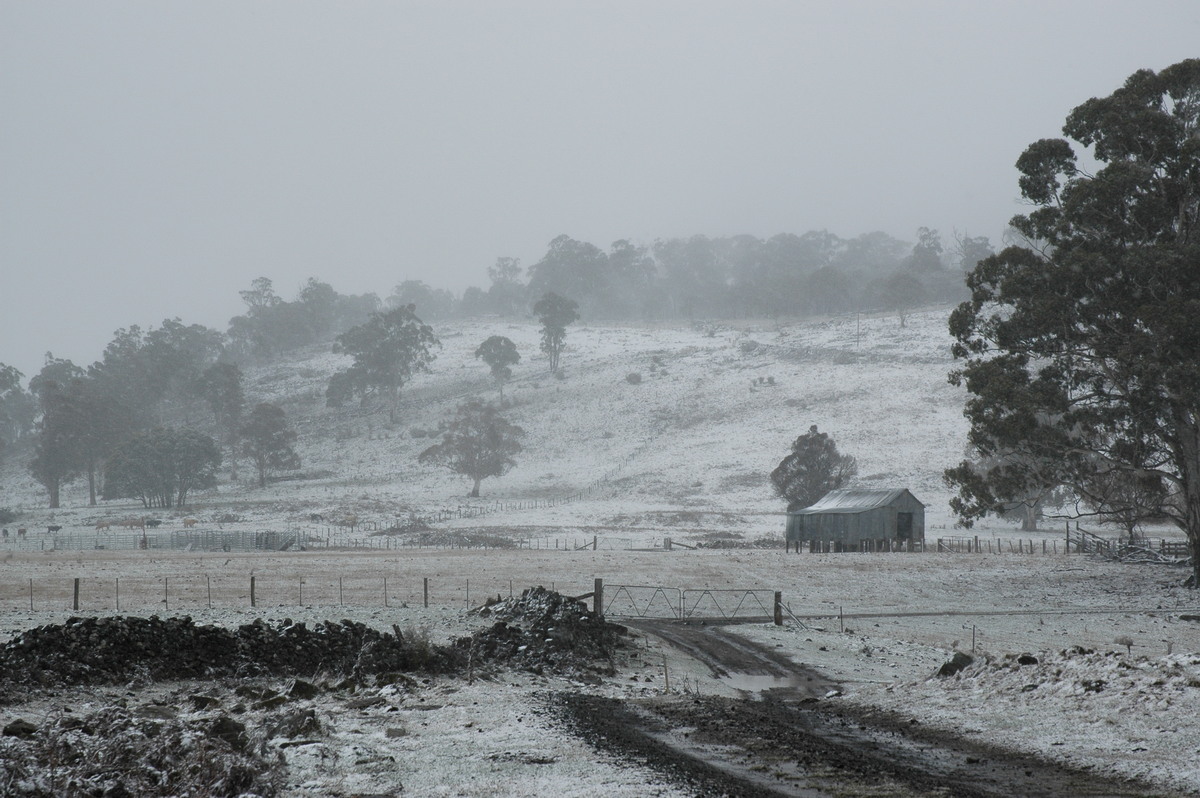 snow snow_pictures : Ben Lomond, NSW   23 June 2005