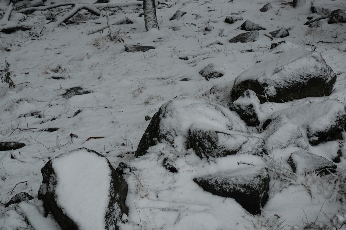 snow snow_pictures : Ben Lomond, NSW   23 June 2005