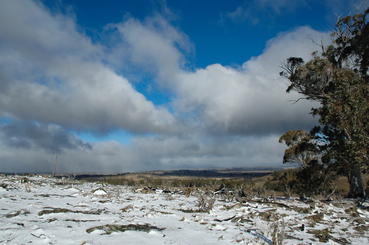 snow snow_pictures : Ben Lomond, NSW   23 June 2005