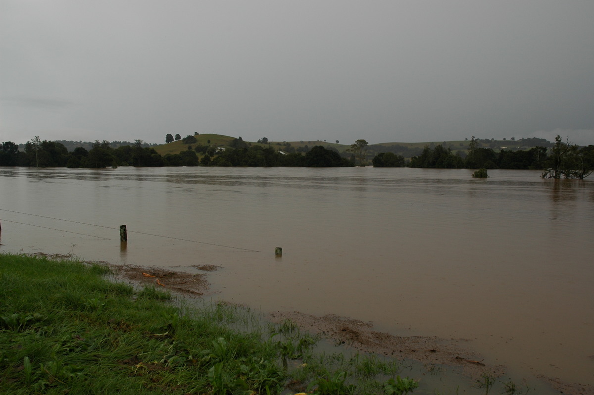 flashflooding flood_pictures : Eltham, NSW   30 June 2005