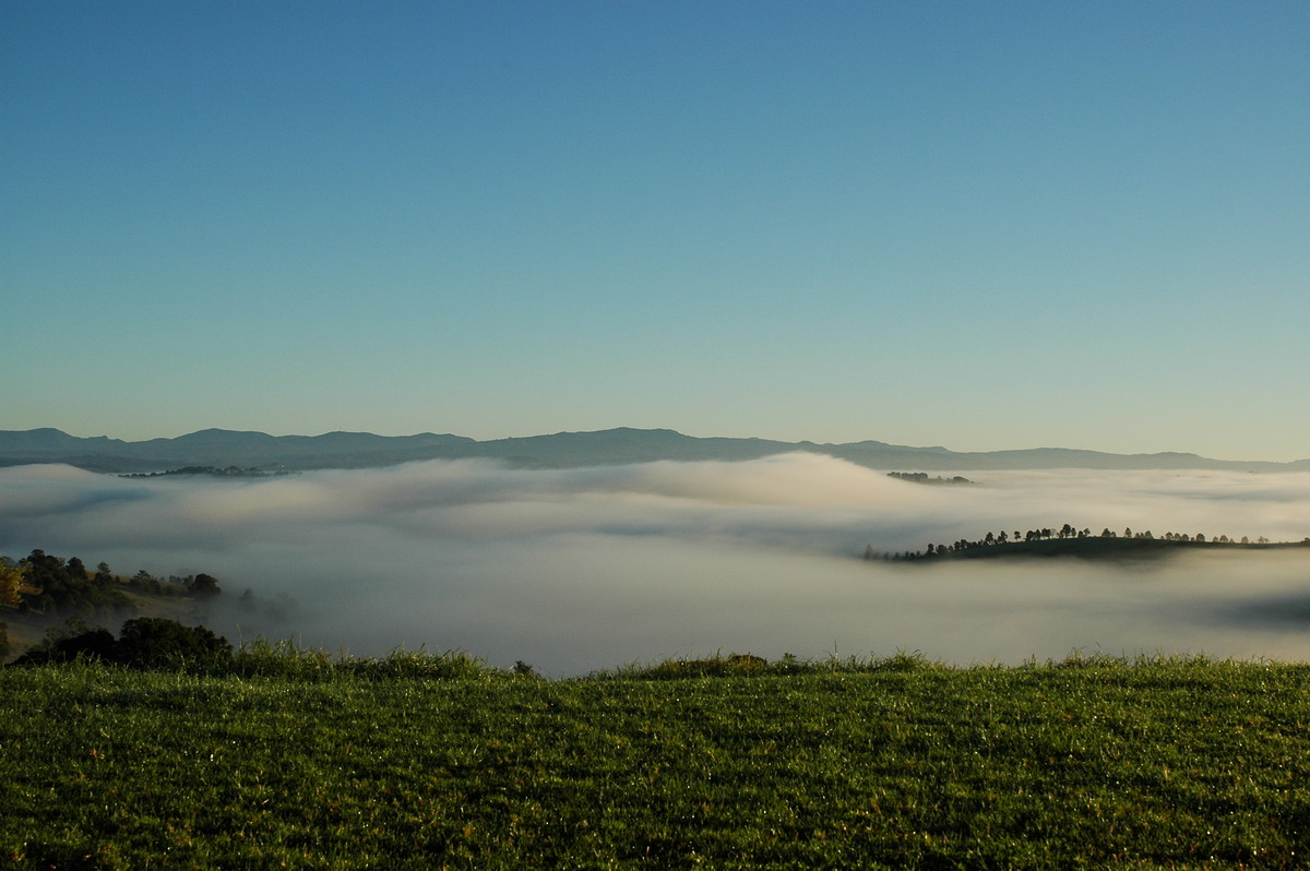 favourites michael_bath : McLeans Ridges, NSW   2 July 2005