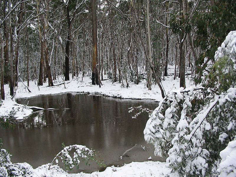 favourites jimmy_deguara : Shooters Hill, NSW   10 July 2005