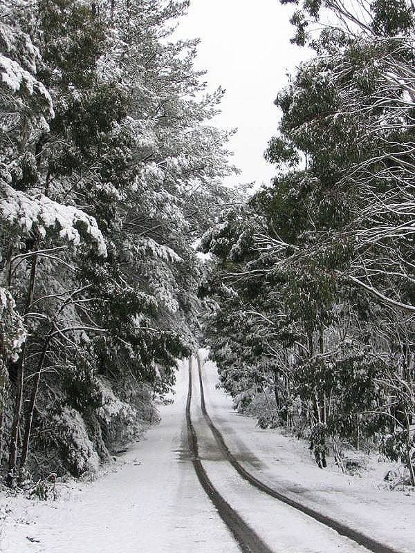 snow snow_pictures : near Oberon, NSW   10 July 2005