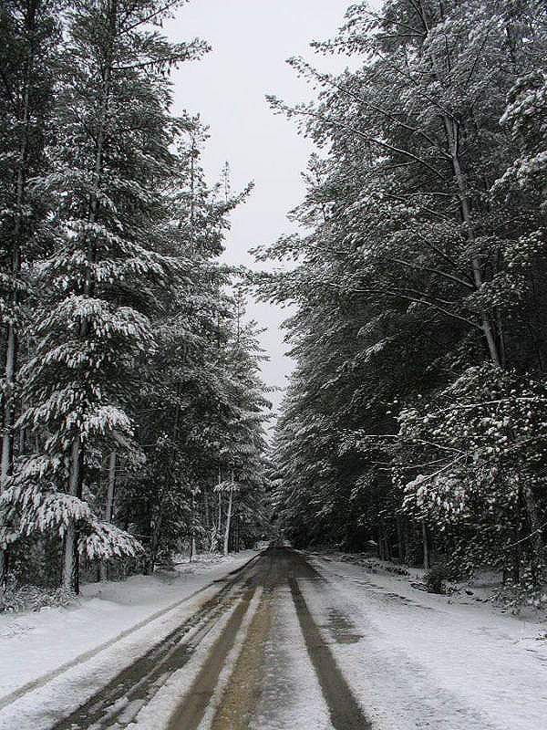 snow snow_pictures : near Oberon, NSW   10 July 2005