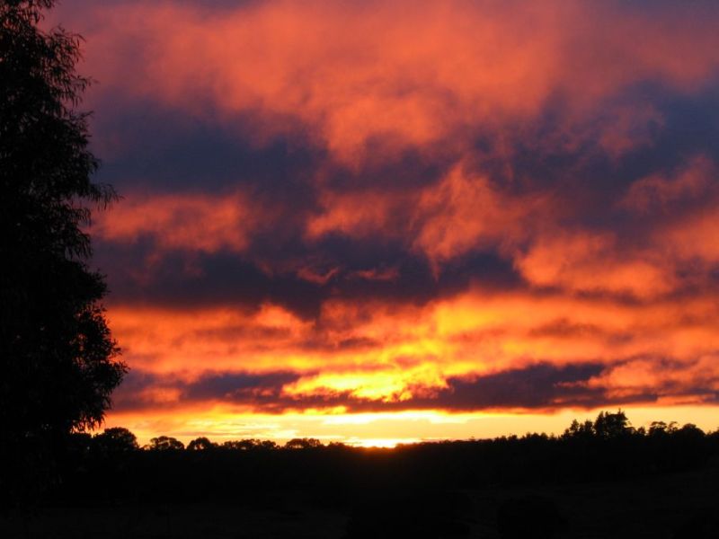 sunrise sunrise_pictures : near Hampton, NSW   15 July 2005