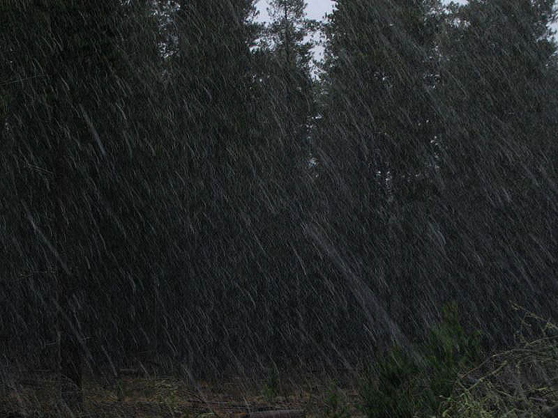 precipitation precipitation_rain : near Oberon, NSW   15 July 2005