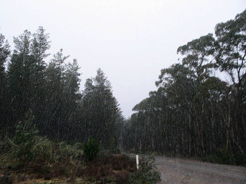 precipitation precipitation_rain : near Oberon, NSW   15 July 2005
