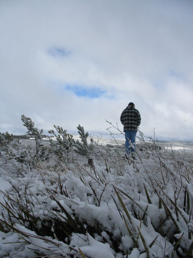 snow snow_pictures : near Shooters Hill, NSW   10 August 2005