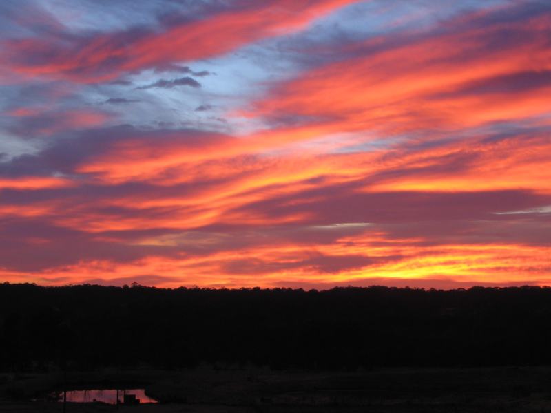 sunrise sunrise_pictures : Schofields, NSW   19 August 2005