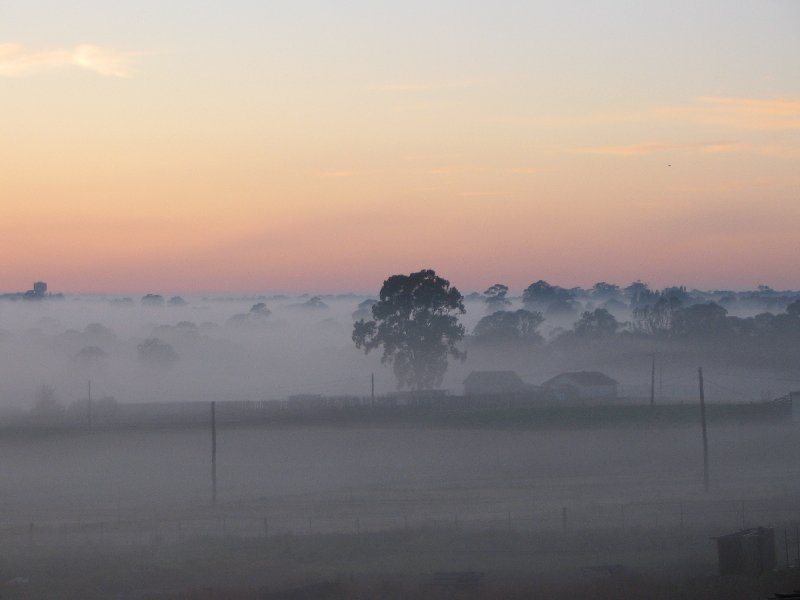 fogmist fog_mist_frost : Schofields, NSW   9 September 2005