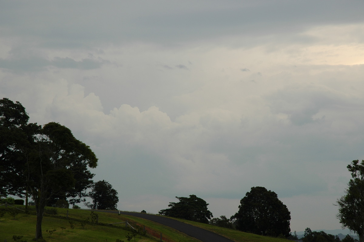 cumulus congestus : McLeans Ridges, NSW   26 September 2005