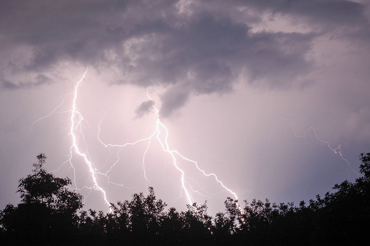 lightning lightning_bolts : McLeans Ridges, NSW   26 September 2005